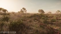 Hurston-savanna-bioime-CIG.jpg